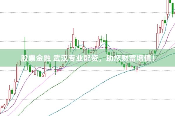 股票金融 武汉专业配资，助您财富增值！