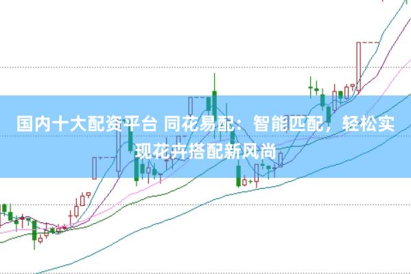 国内十大配资平台 同花易配：智能匹配，轻松实现花卉搭配新风尚