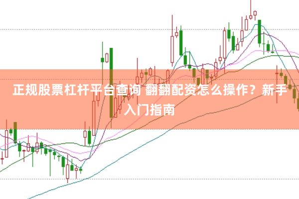 正规股票杠杆平台查询 翻翻配资怎么操作？新手入门指南