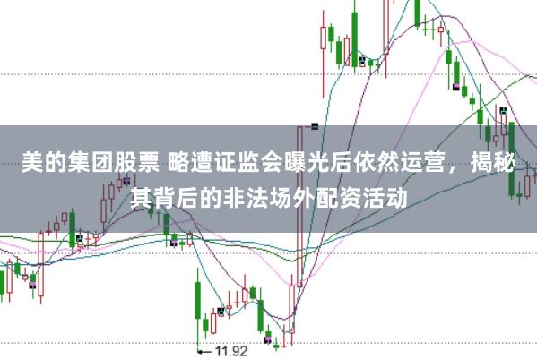 美的集团股票 略遭证监会曝光后依然运营，揭秘其背后的非法场外配资活动